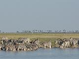 Africa 025 : Africa, Animal, Botswana, Landscape, Makgadikgadi, Mammal, Waterhole, Zebra